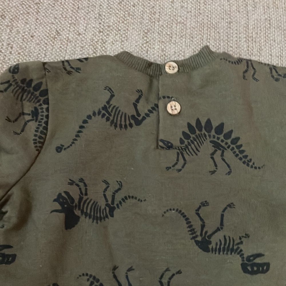 Dinosaur matching set - Picture 3 of 3